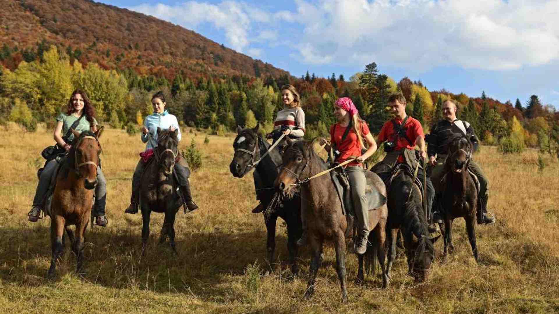 Immagine di Dalla guida all'hotel al viaggio: come ti creo una vacanza sostenibile
