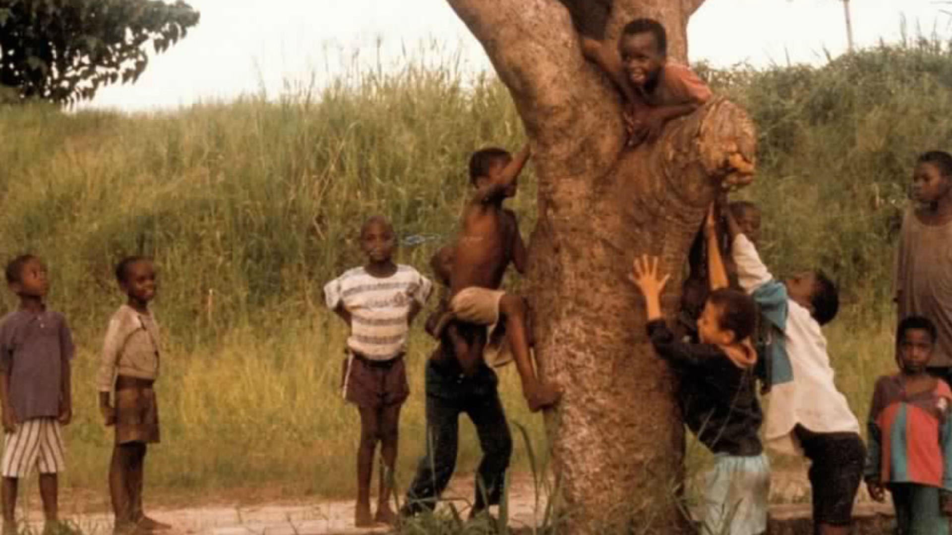 Immagine di Sguardi sull’Africa insieme a Cuamm