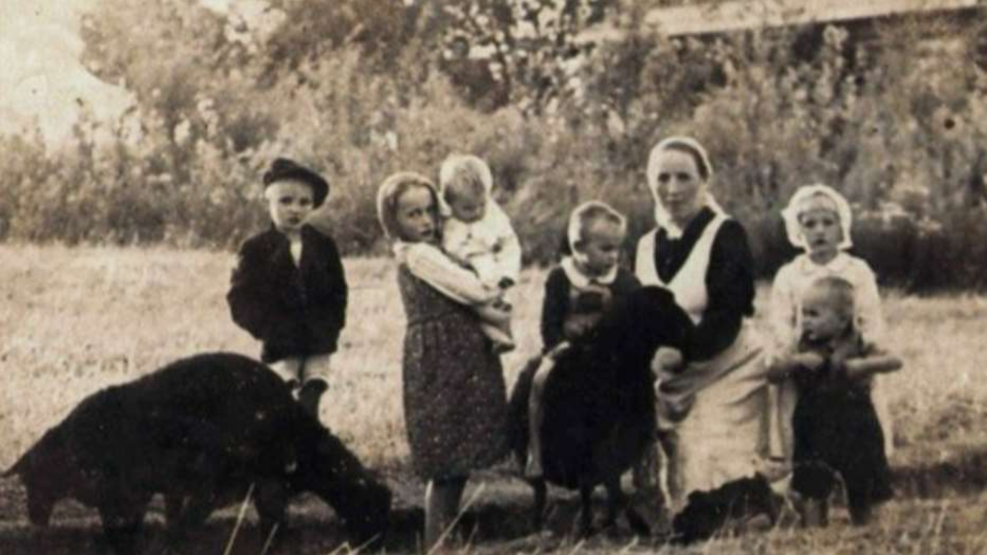 Immagine di Beatificata la famiglia massacrata dai nazisti per aver aiutato gli ebrei