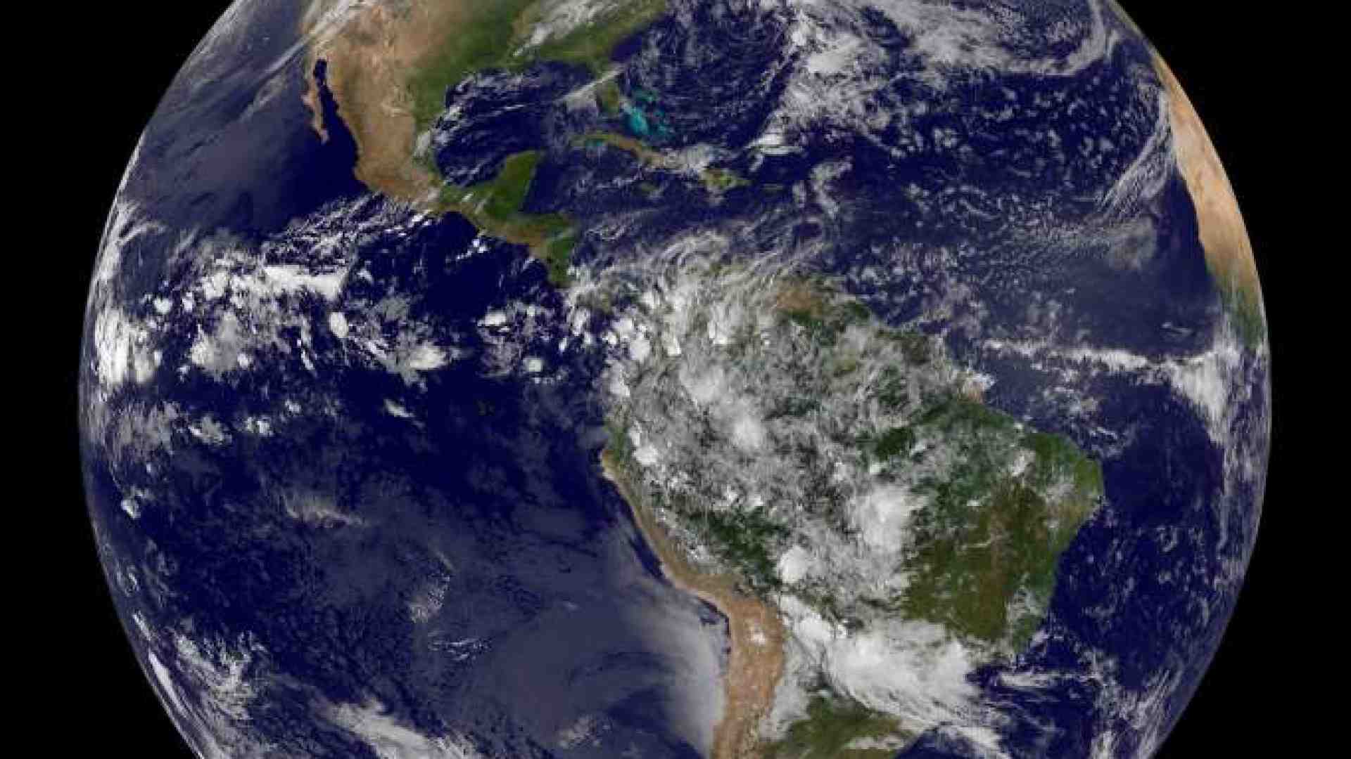 Immagine di Cop15, accordo storico sulla protezione del pianeta