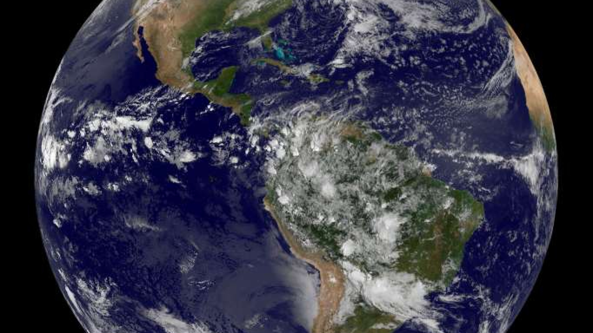 Immagine di Cop15, accordo storico sulla protezione del pianeta