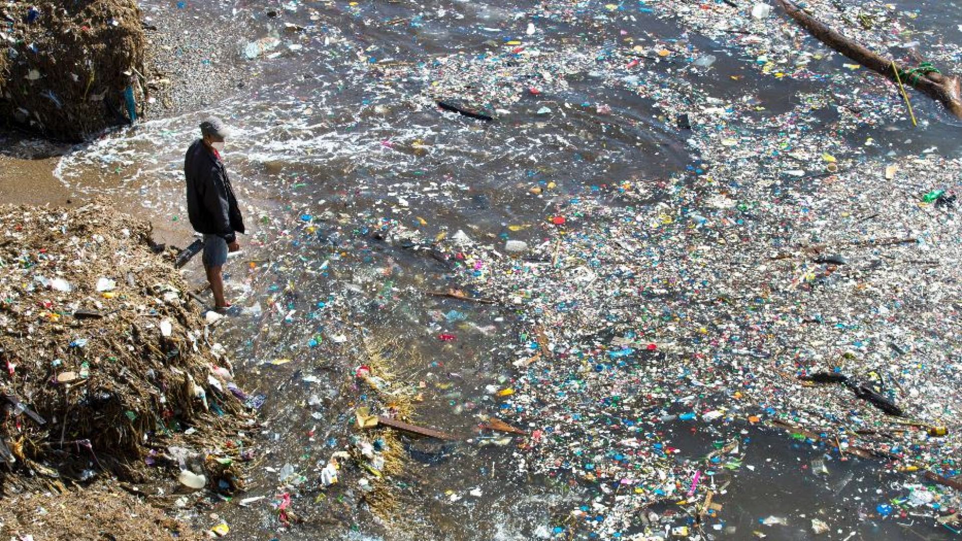 Immagine di Il mondo sta cercando la strada per un mondo senza plastica