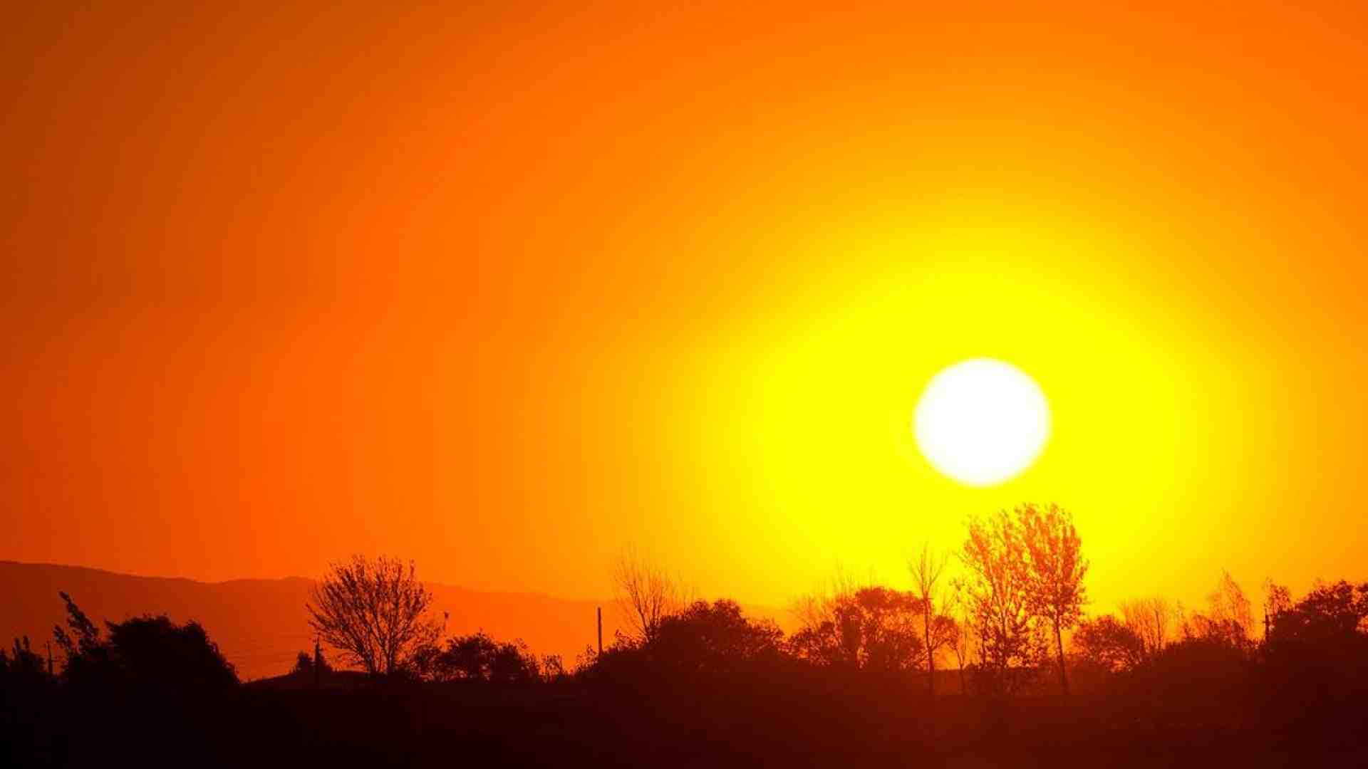 Immagine di Dall’io al noi: così la minoranza è profetica