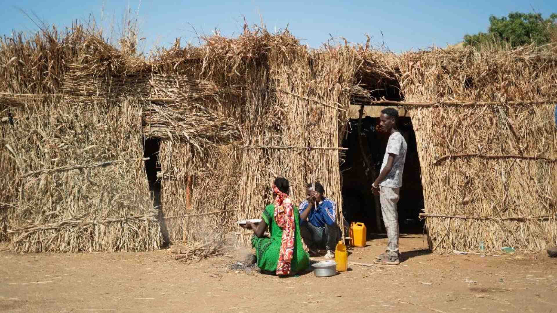 Immagine di Nel Tigrai una guerra senza fine che il mondo fatica a riconoscere