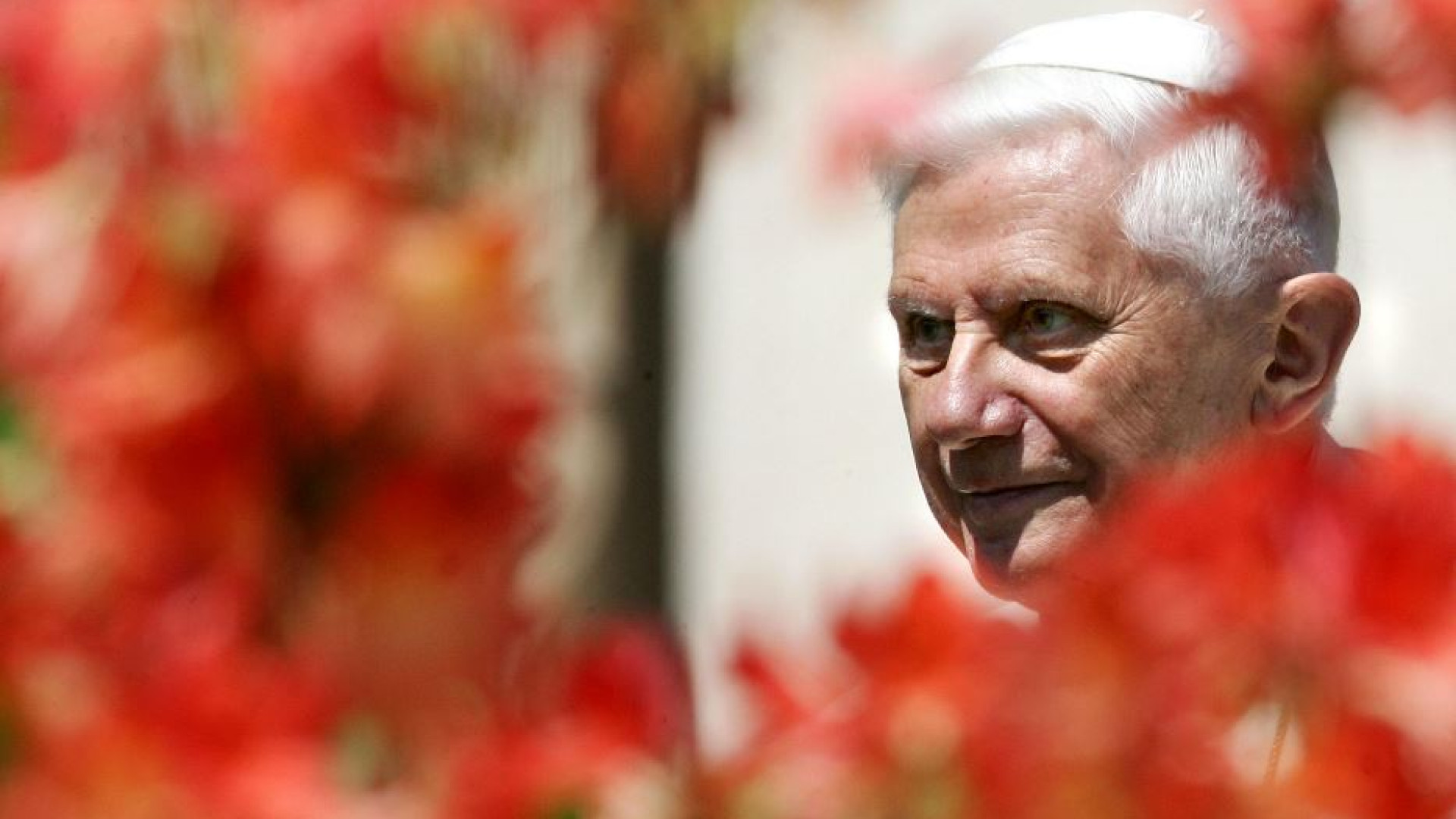 Immagine di Ecco il testamento spirituale di Benedetto: «Grazie a Dio e famiglia»