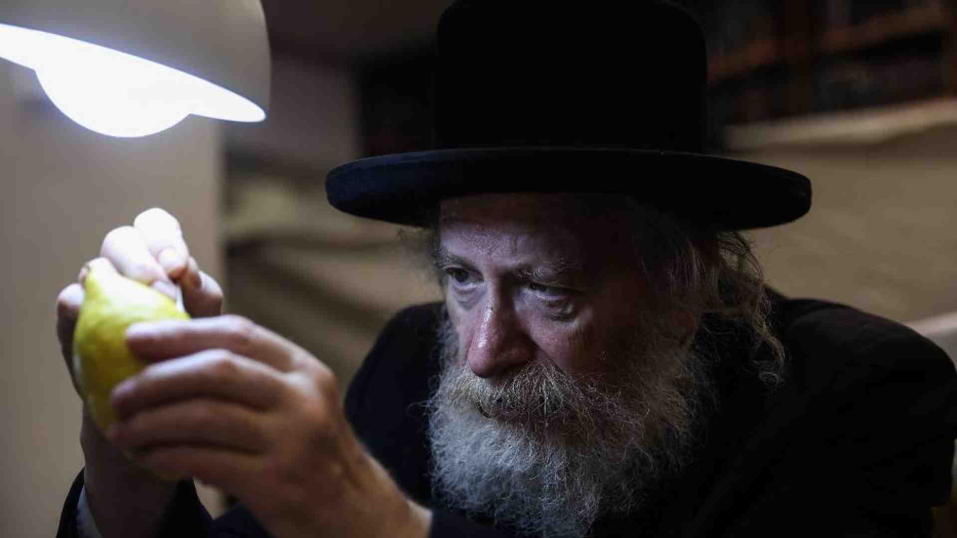 Immagine di Nelle capanne di Sukkot la bellezza abita la precarietà