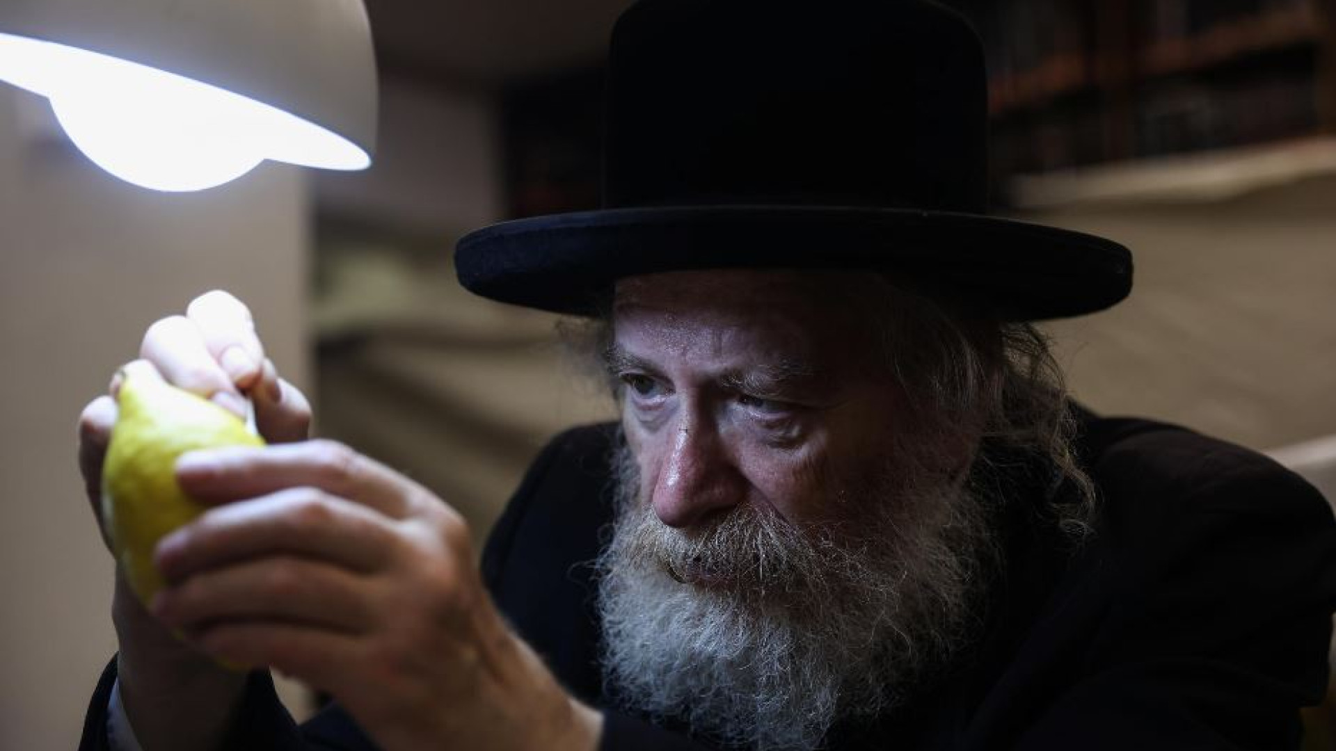 Immagine di Nelle capanne di Sukkot la bellezza abita la precarietà