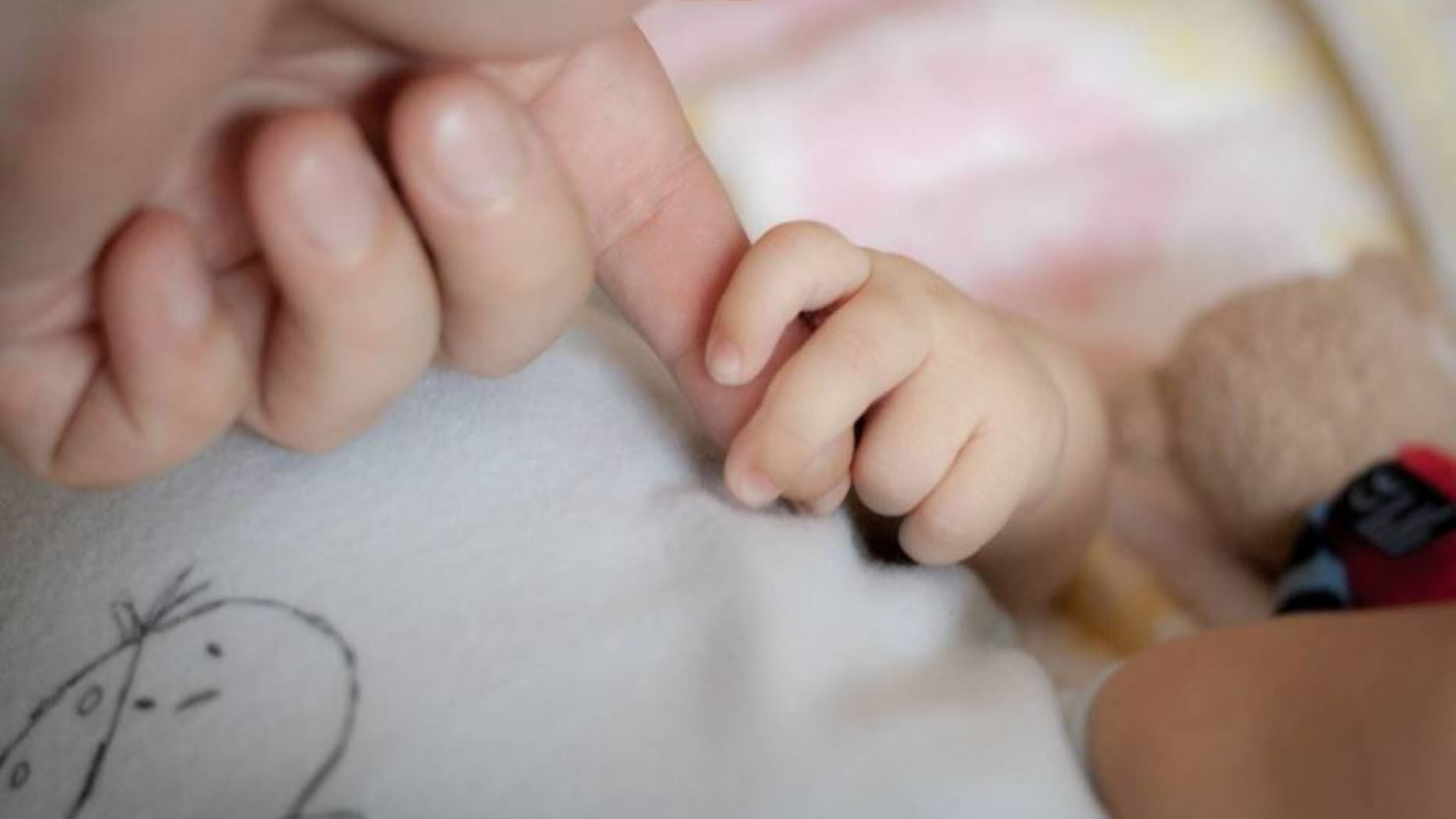 Immagine di Colletta solidale per le mamme: e c'è chi invita a boicottare il supermercato