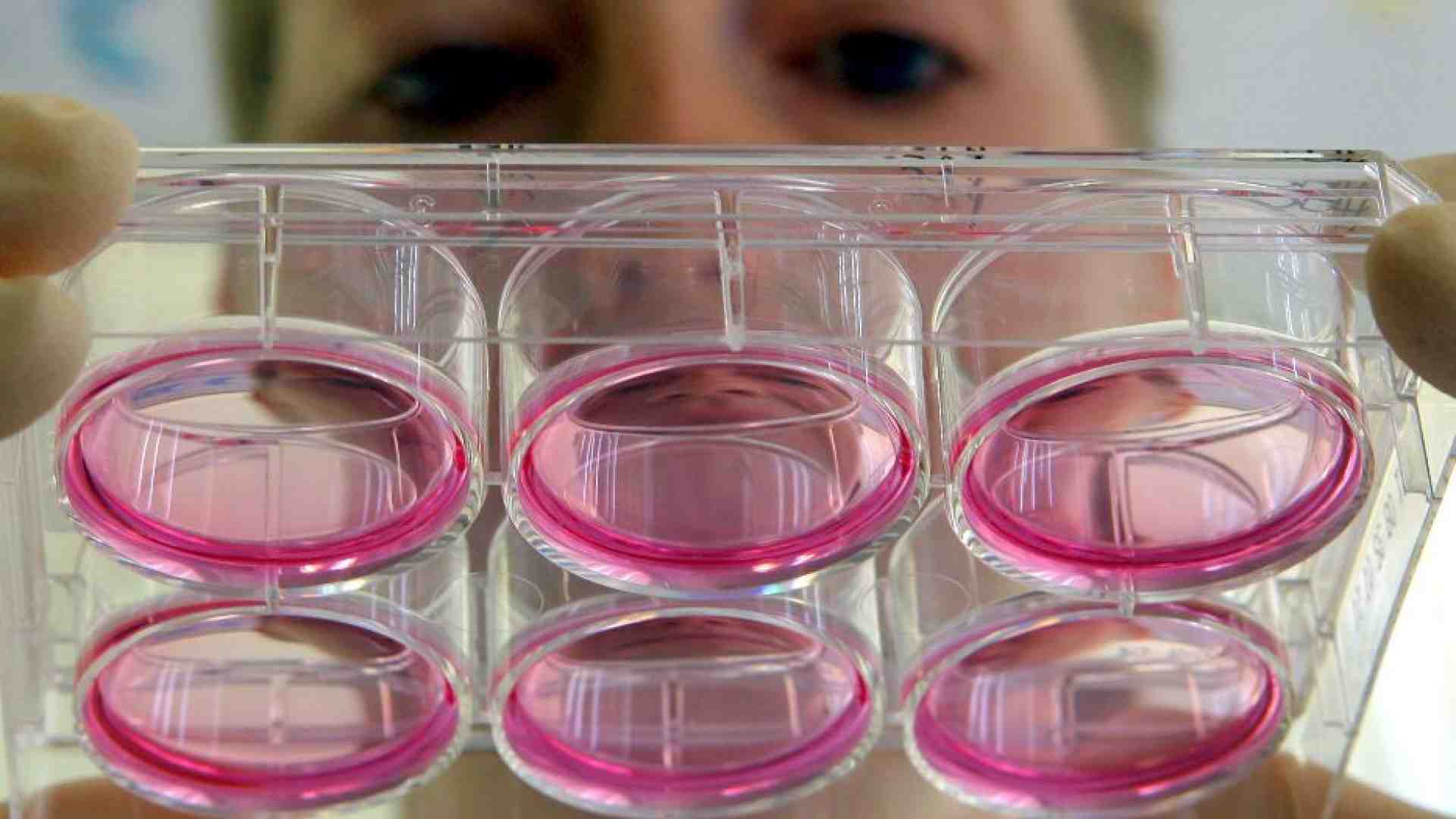 Immagine di Vita, povertà e mercato dei farmaci: tre sfide per il Comitato di bioetica