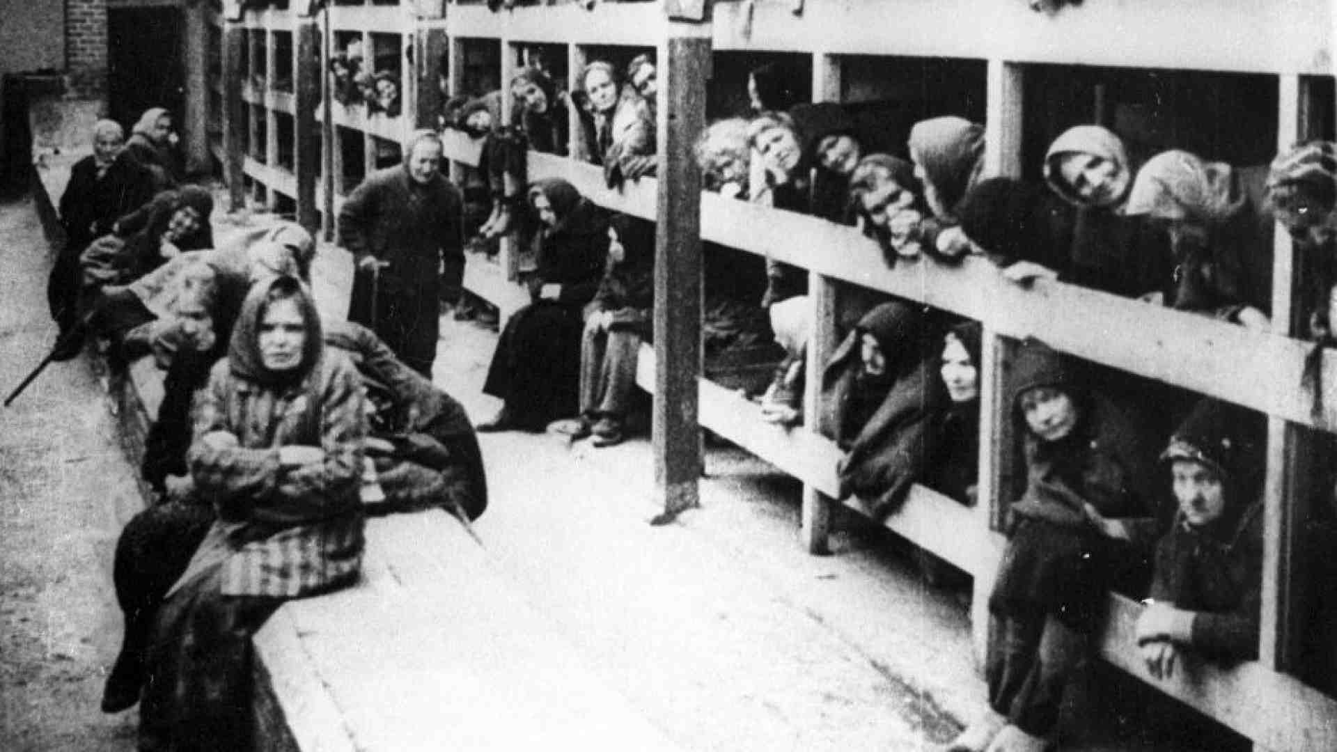 Immagine di Il silenzio tragico dei sopravvissuti al lager