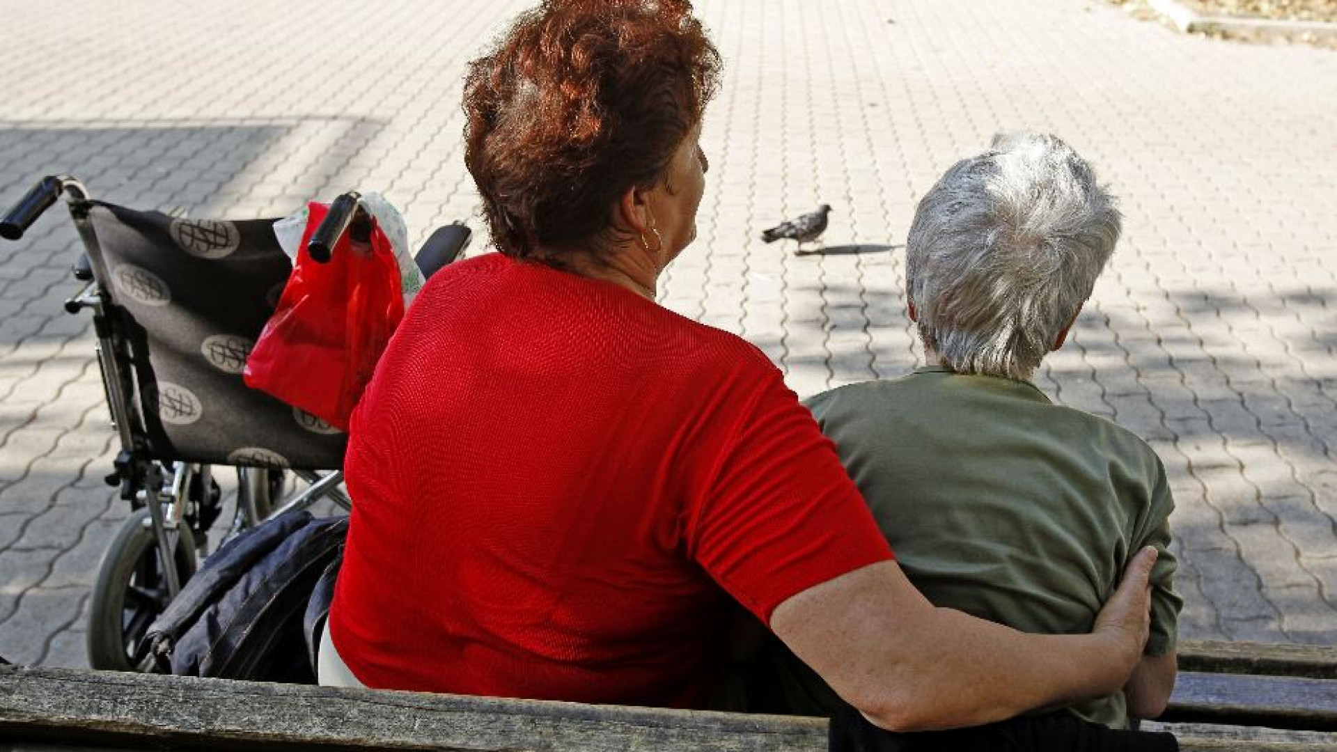 Immagine di Lavoro domestico, sfida emersione