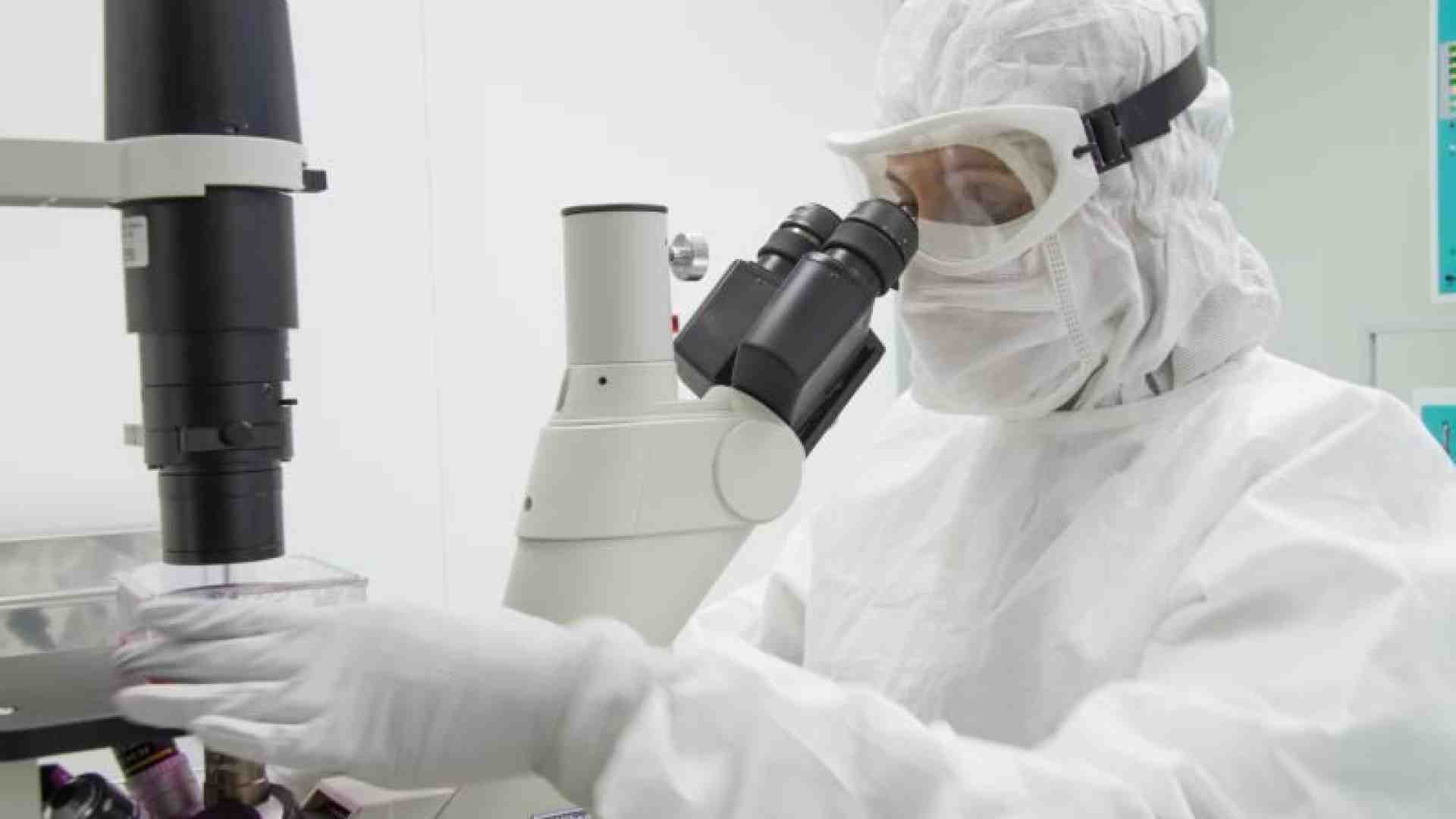 Immagine di Leucemia, nuove speranze da una terapia italiana