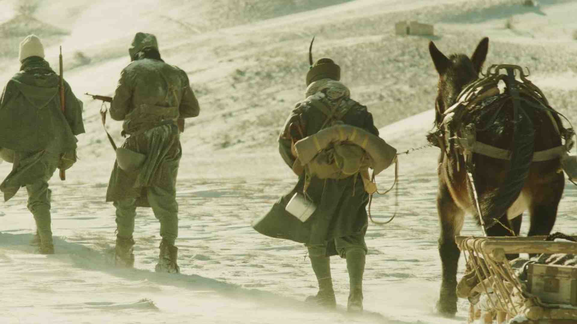 Immagine di «Alpini, dal sacrificio in Russia una "seconda via" per la pace»