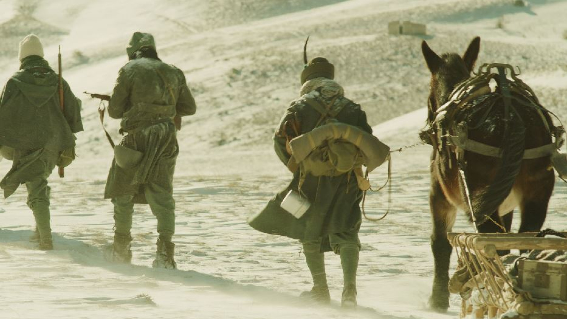 Immagine di «Alpini, dal sacrificio in Russia una "seconda via" per la pace»