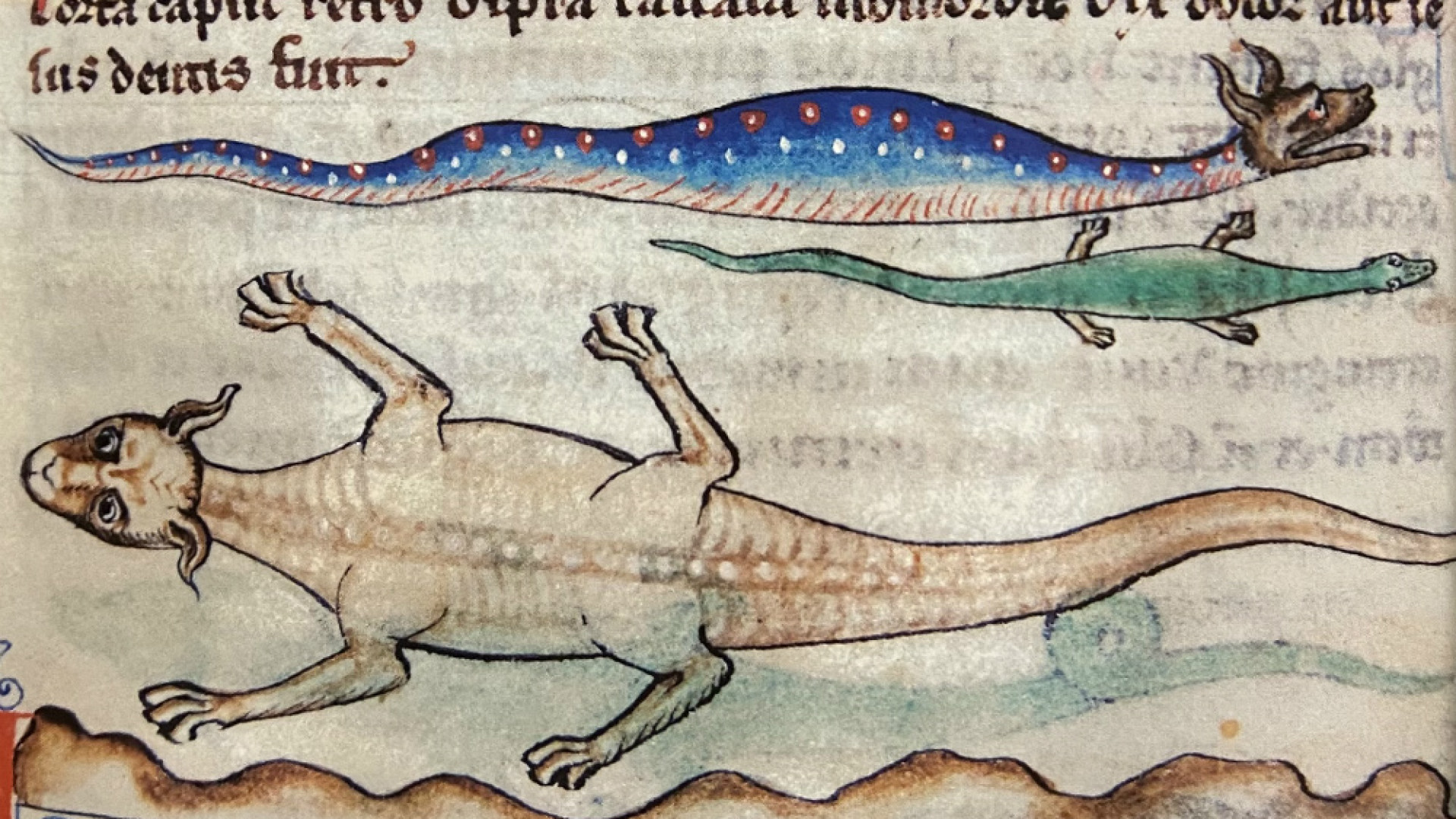 Immagine di “Mare Gerundo”, alle origini della leggenda