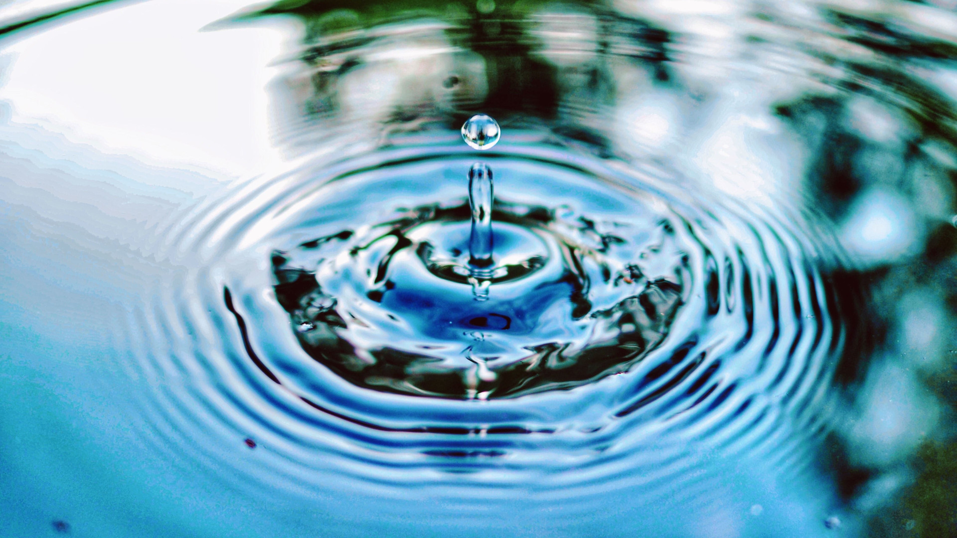 Immagine di Il futuro in una falda: dall'acqua può rinascere la cooperazione