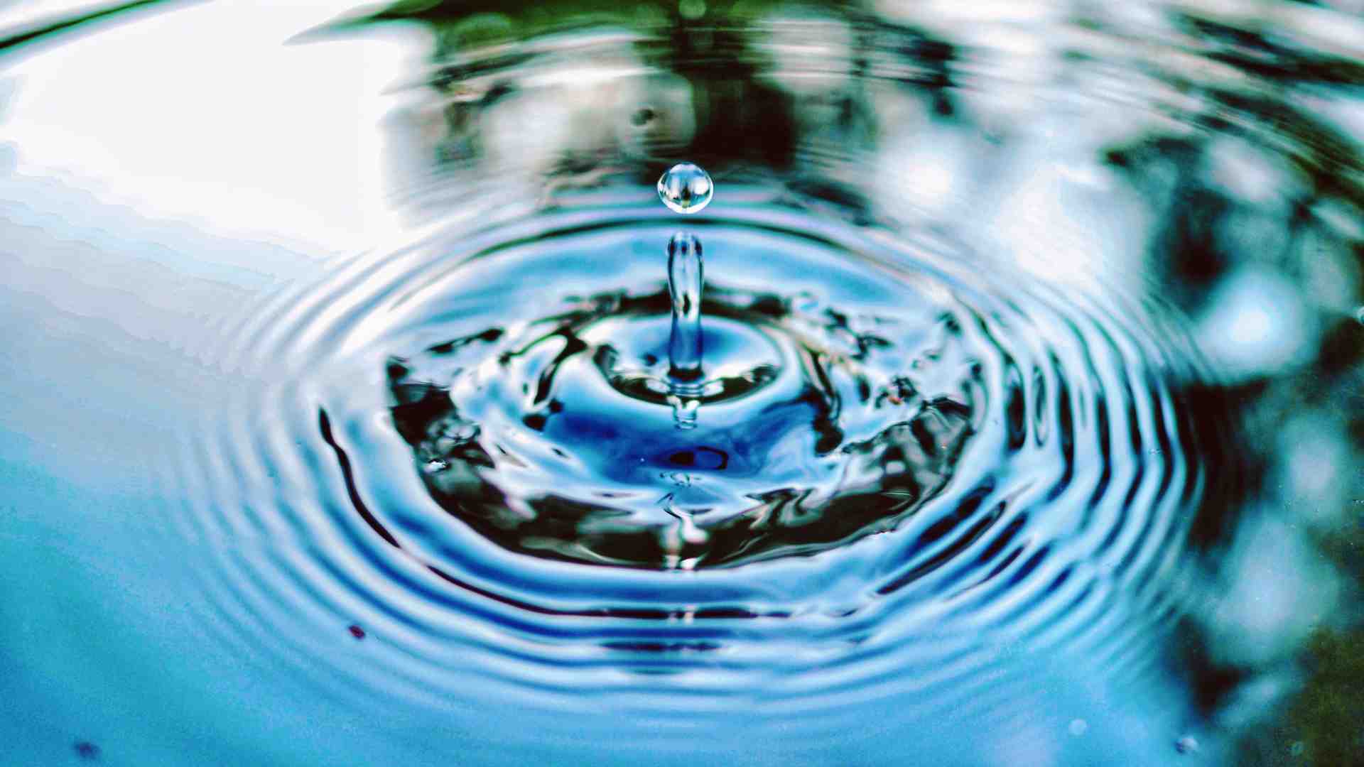 Immagine di Il futuro in una falda: dall'acqua può rinascere la cooperazione