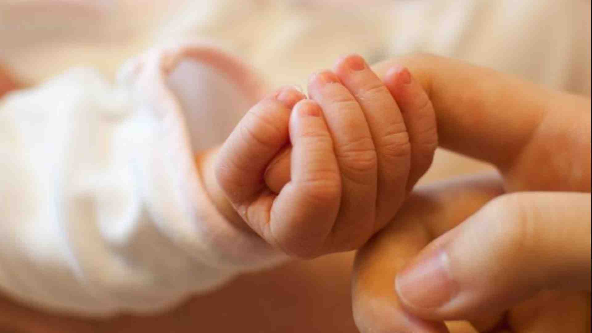 Immagine di Cav e Mpv: donne alleate delle donne per la vita, i diritti, l'inclusione