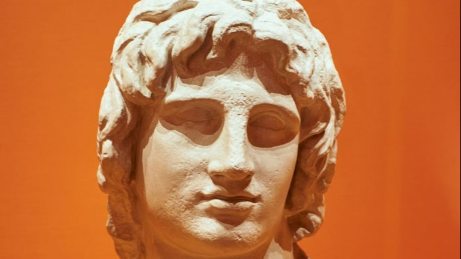 Immagine di Il viaggio infinito di Alessandro Magno