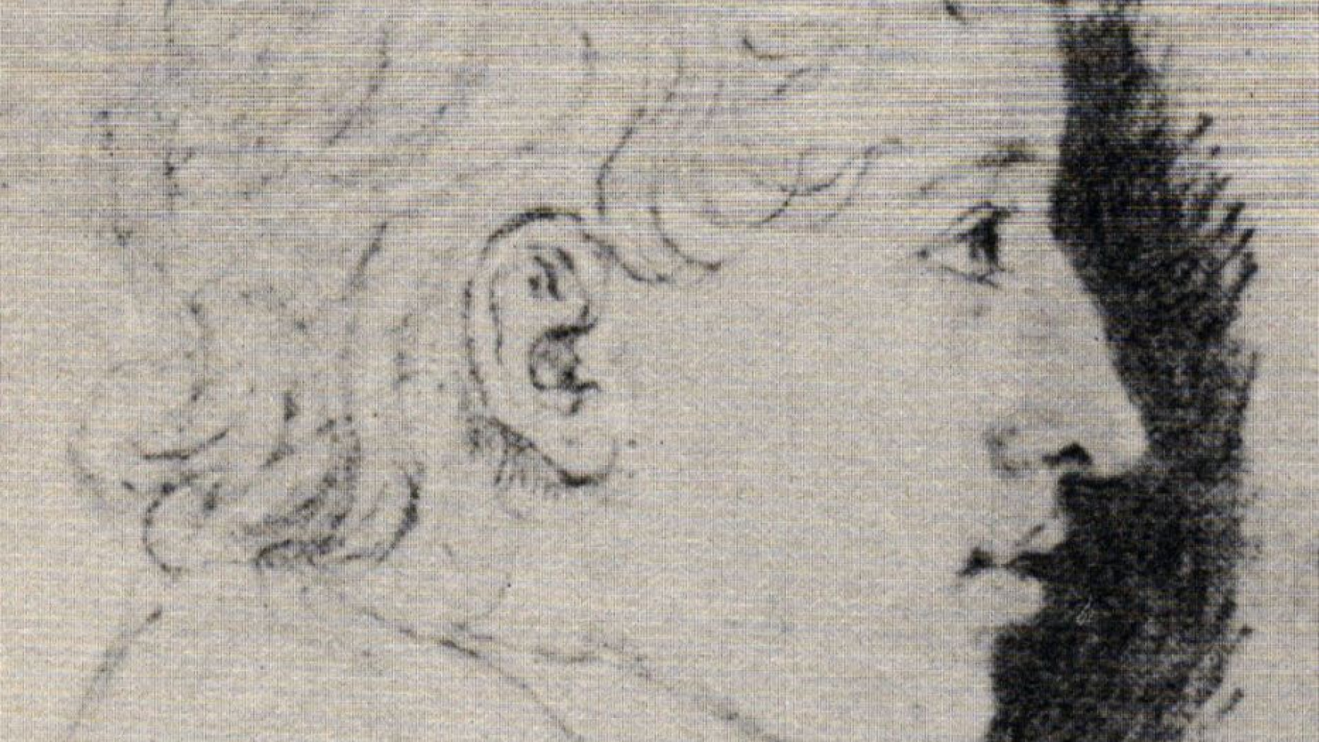 Immagine di La favola triste di Ferdinand, il Grimm sconosciuto