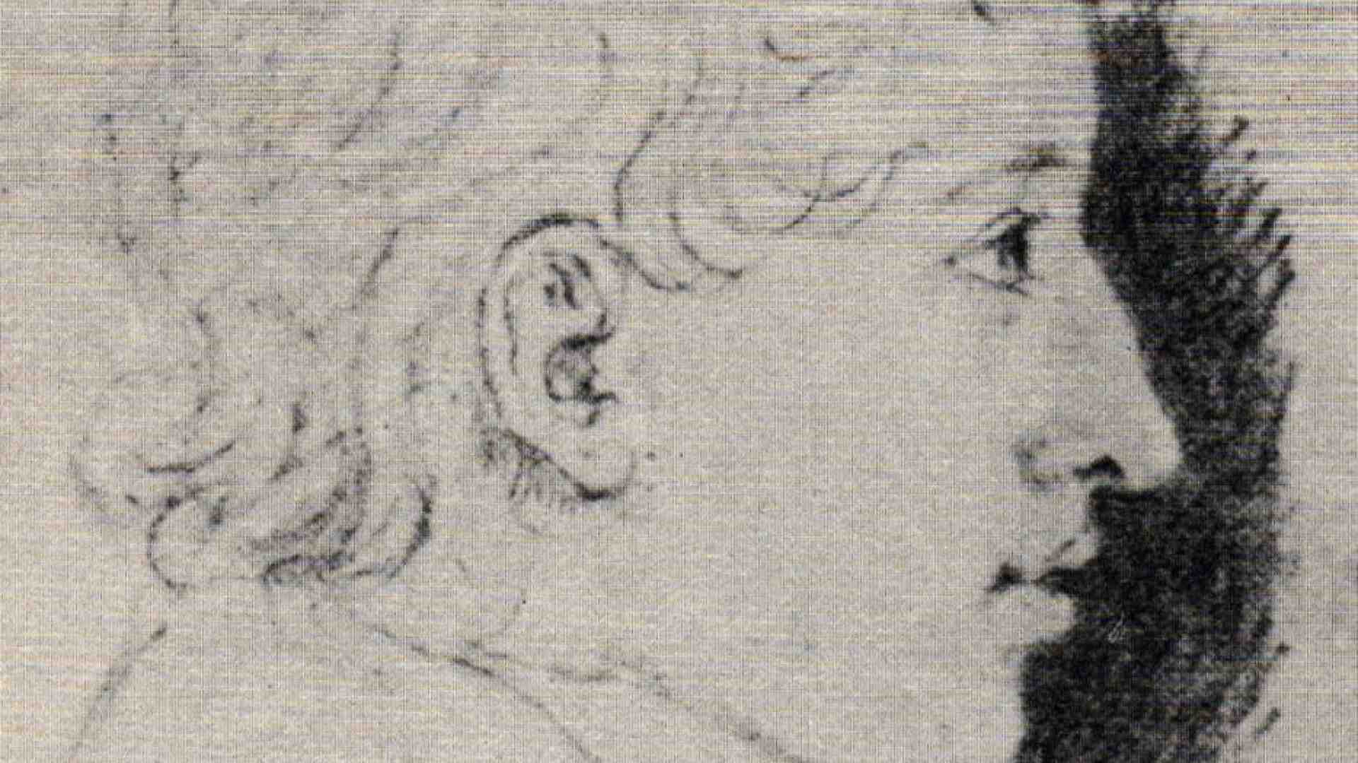Immagine di La favola triste di Ferdinand, il Grimm sconosciuto