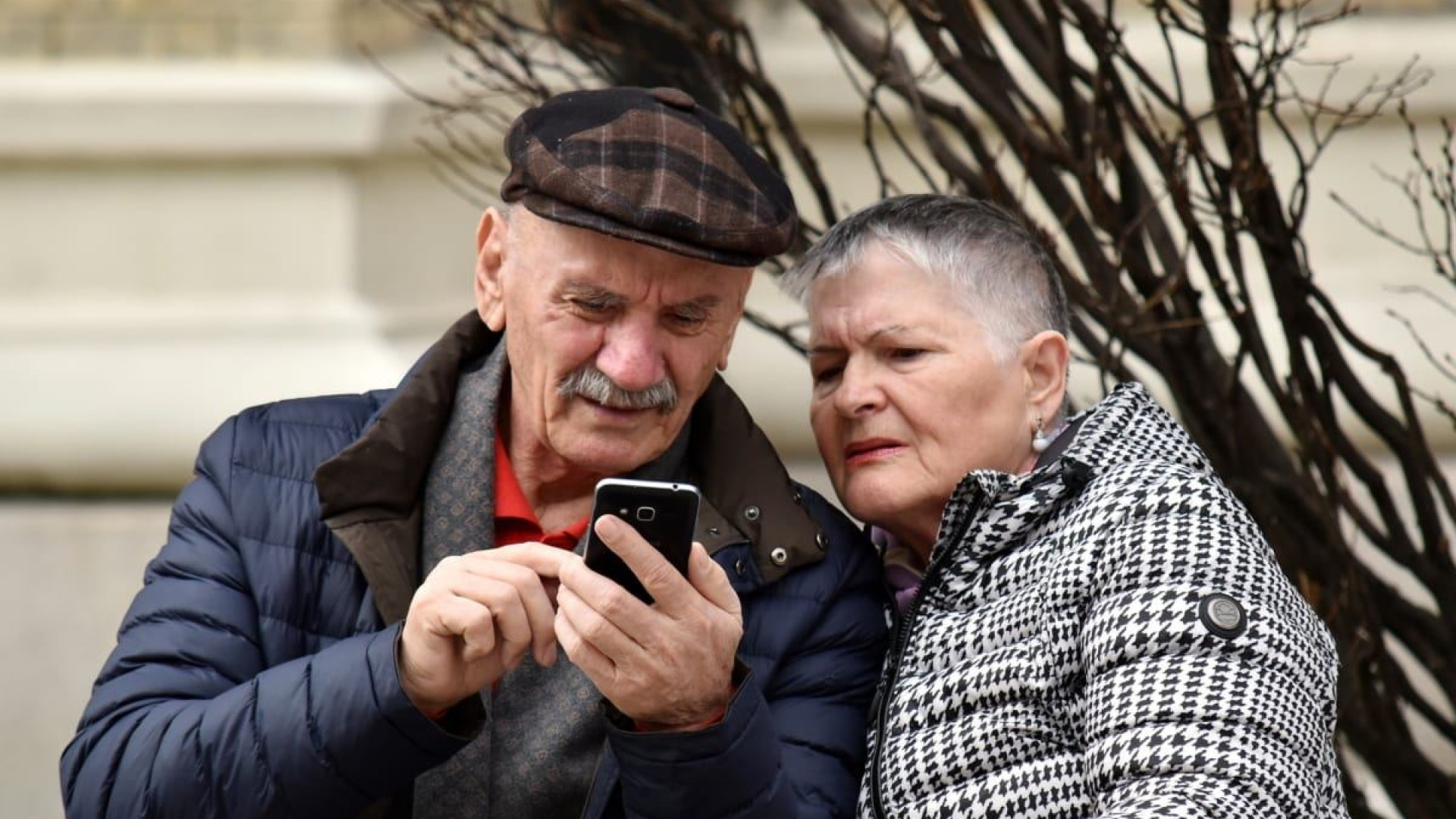 Immagine di Se la rete ha i capelli bianchi: Internet è un Paese per vecchi?