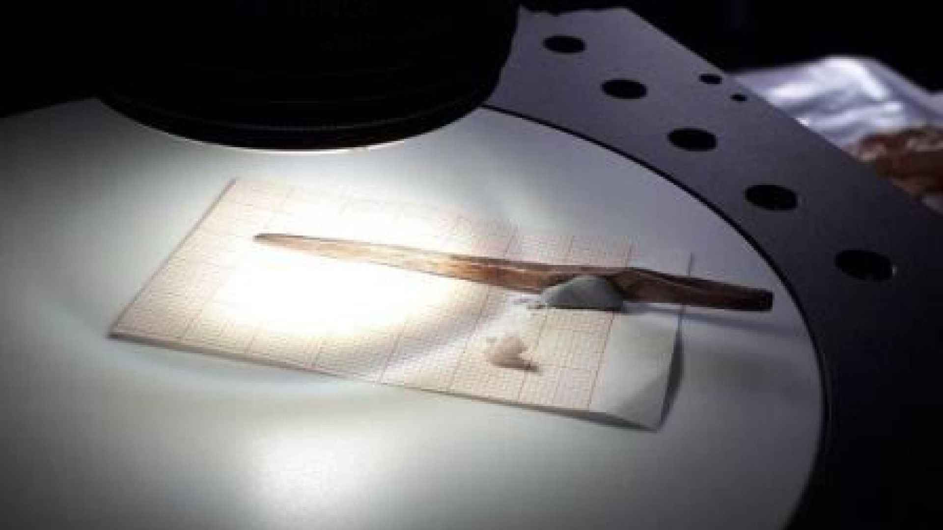 Immagine di A spasso con Ötzi il tatuato: un'indagine sulla preistoria