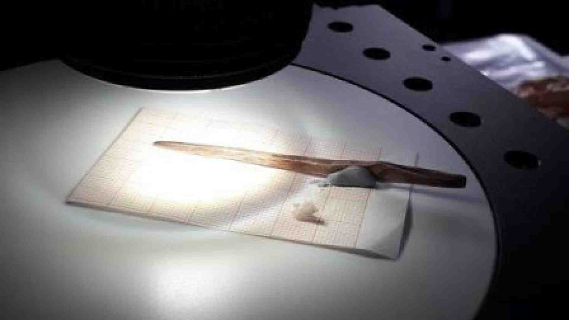 Immagine di A spasso con Ötzi il tatuato: un'indagine sulla preistoria