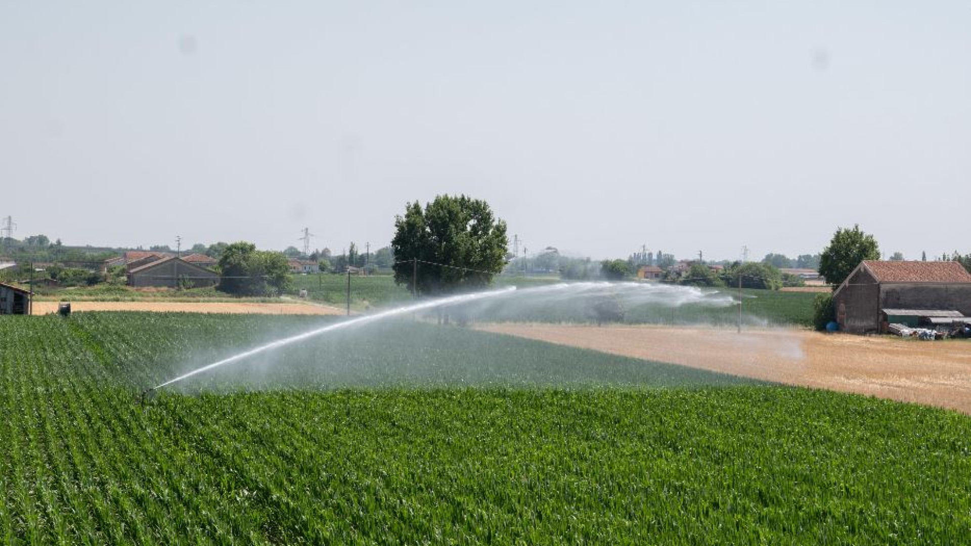 Immagine di Acqua in gocce, sensori e satelliti: così la siccità cambia l'agricoltura