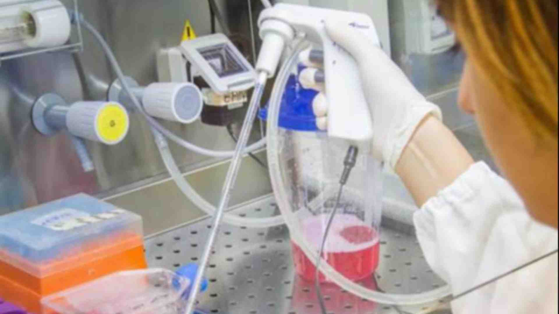 Immagine di Cancro, è l’ora dei vaccini terapeutici. «Nel 2024 i test contro il melanoma»