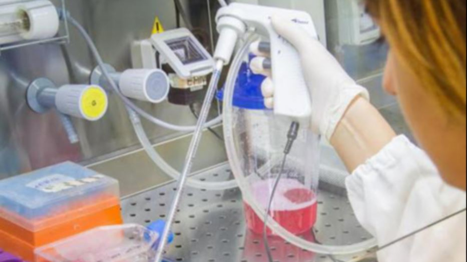 Immagine di Cancro, è l’ora dei vaccini terapeutici. «Nel 2024 i test contro il melanoma»