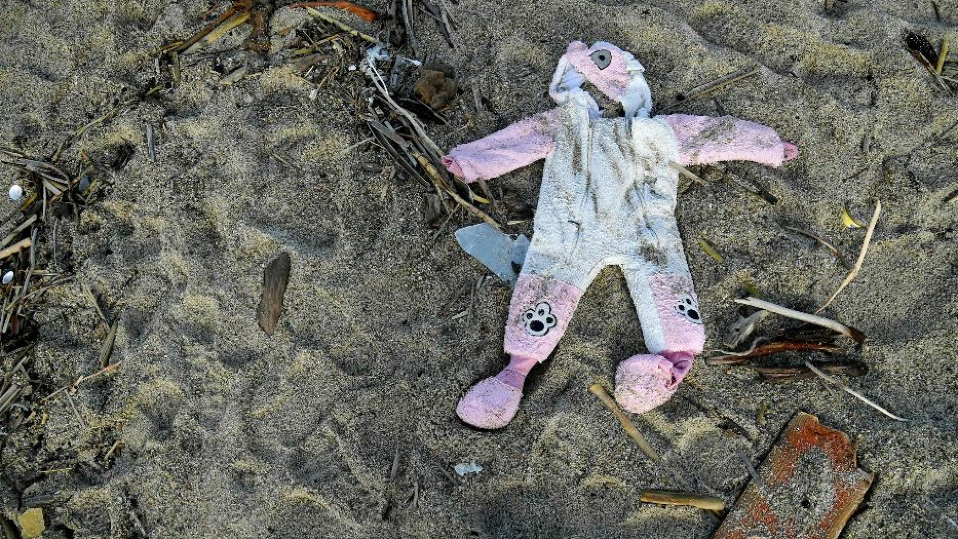 Immagine di I punti ancora oscuri del naufragio di Cutro: gli avvistamenti, gli Sos