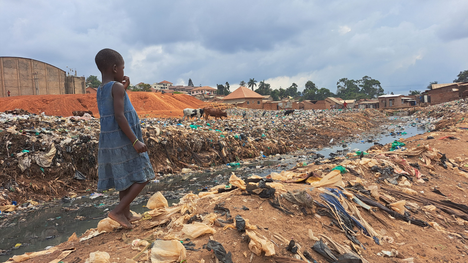 Immagine di Se questo è un mondo: in Uganda per la difesa dei diritti perduti