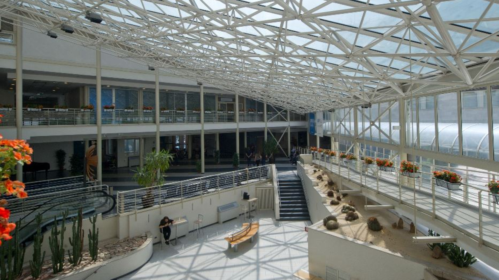 Immagine di Il Policlinico Gemelli "migliore ospedale italiano"