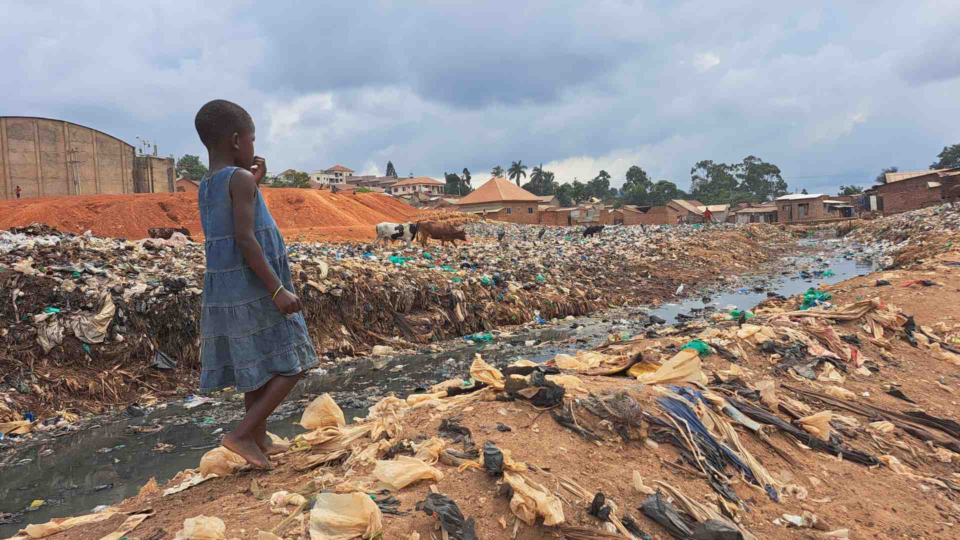 Immagine di Se questo è un mondo: in Uganda per la difesa dei diritti perduti