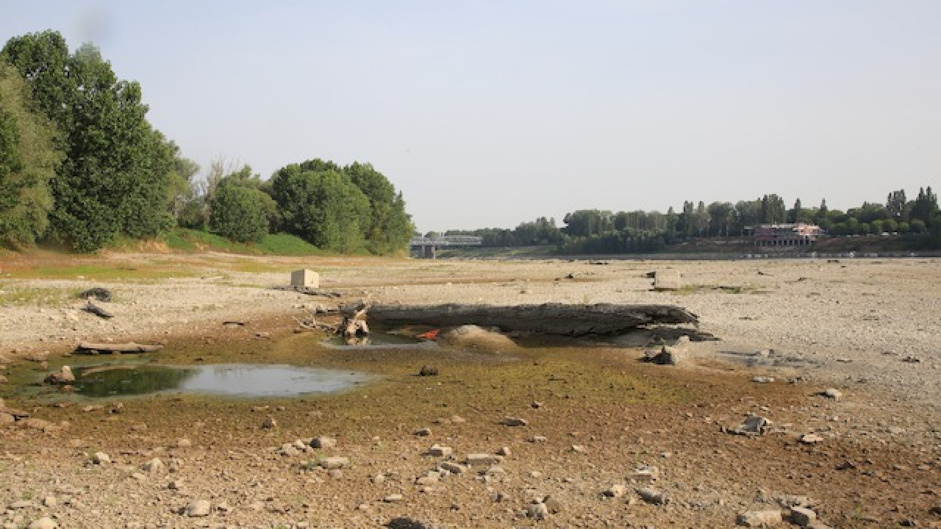 Immagine di Siccità, Coldiretti: Lombardia a secco, mancano 2 miliardi di metri cubi d’acqua