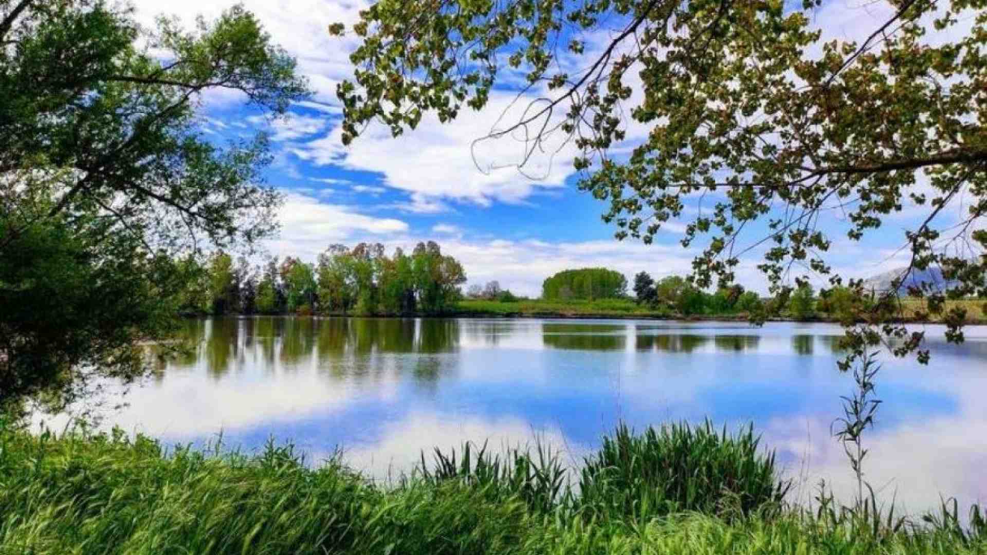 Immagine di Pace e ambiente, riformare l'Onu per tutelare i beni comuni globali