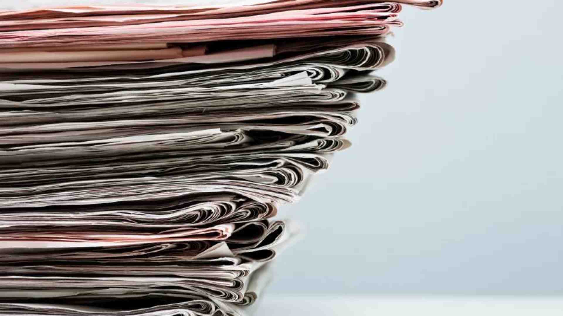 Immagine di Dibattito pubblico, se anche le news sono un panda da tutelare