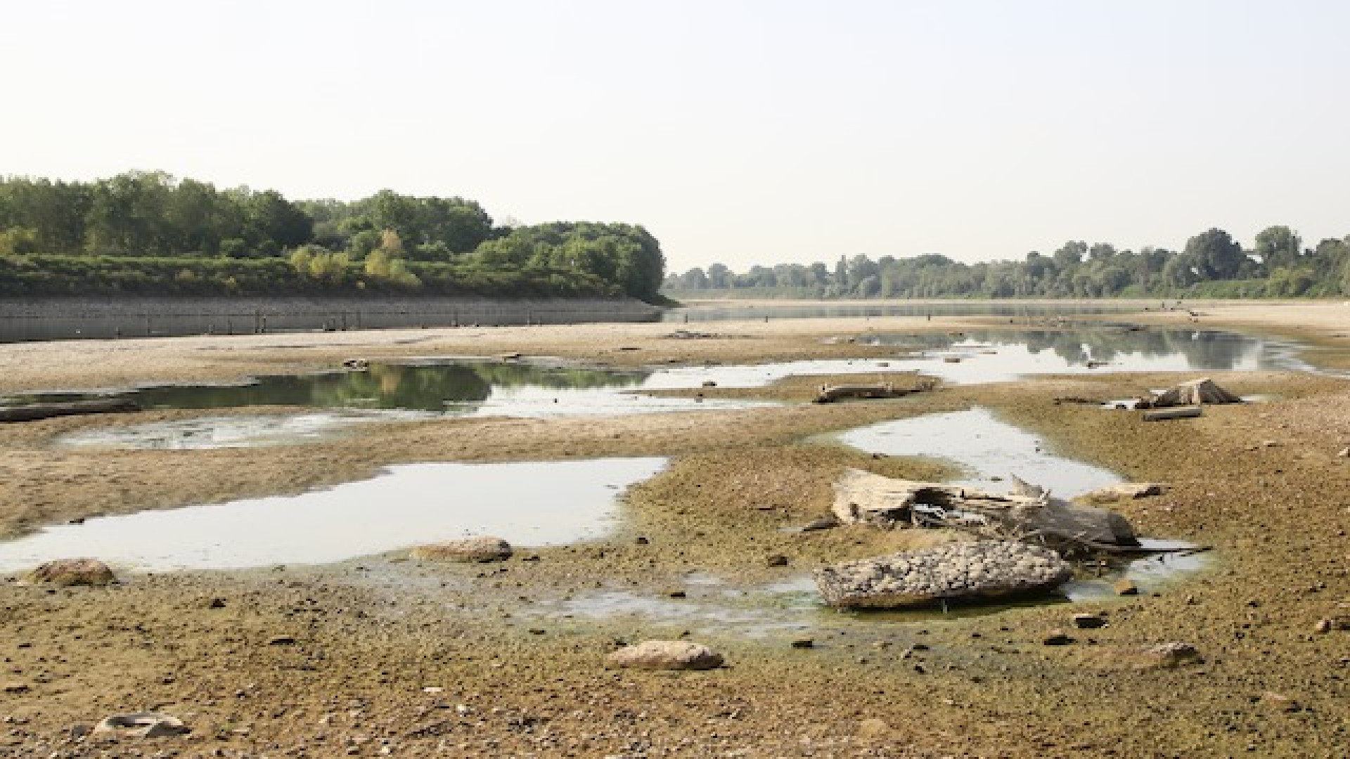Immagine di Siccità, Coldiretti al tavolo regionale: senz’acqua è SOS cibo, serve piano invasi