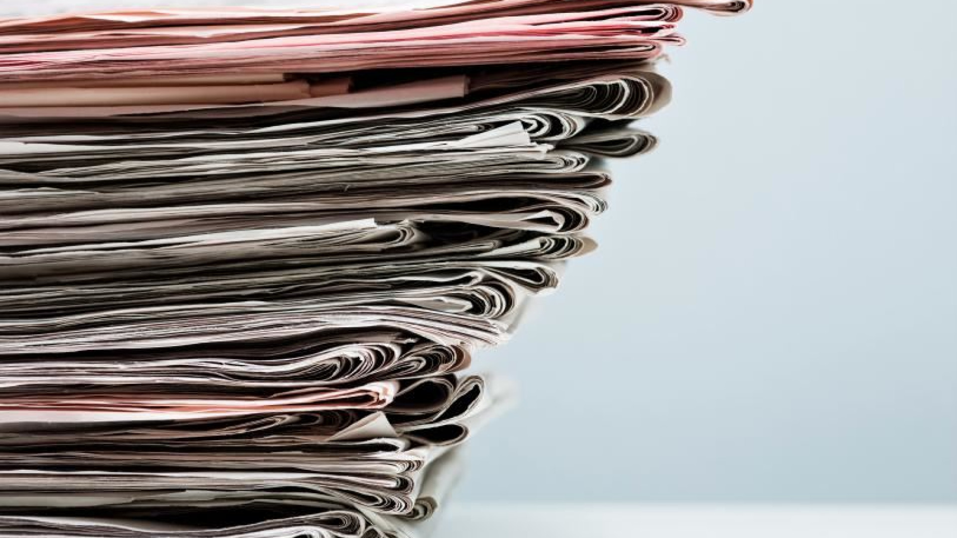 Immagine di Dibattito pubblico, se anche le news sono un panda da tutelare