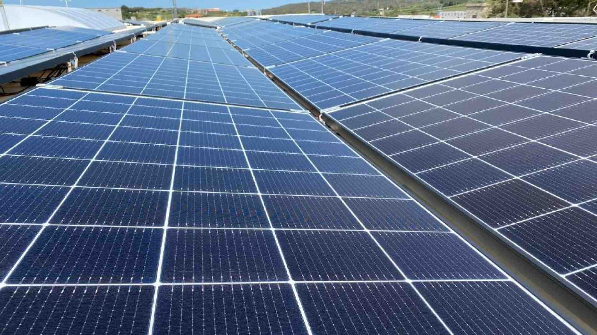 Immagine di Rinnovabili in crescita continua, l'energia pulita vede il sorpasso