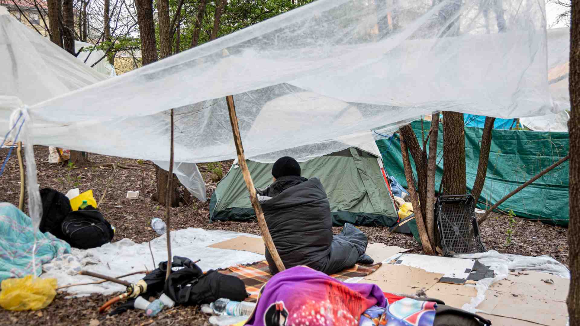 Immagine di Per il 70% degli italiani le Coop utili a ridurre le disuguaglianze