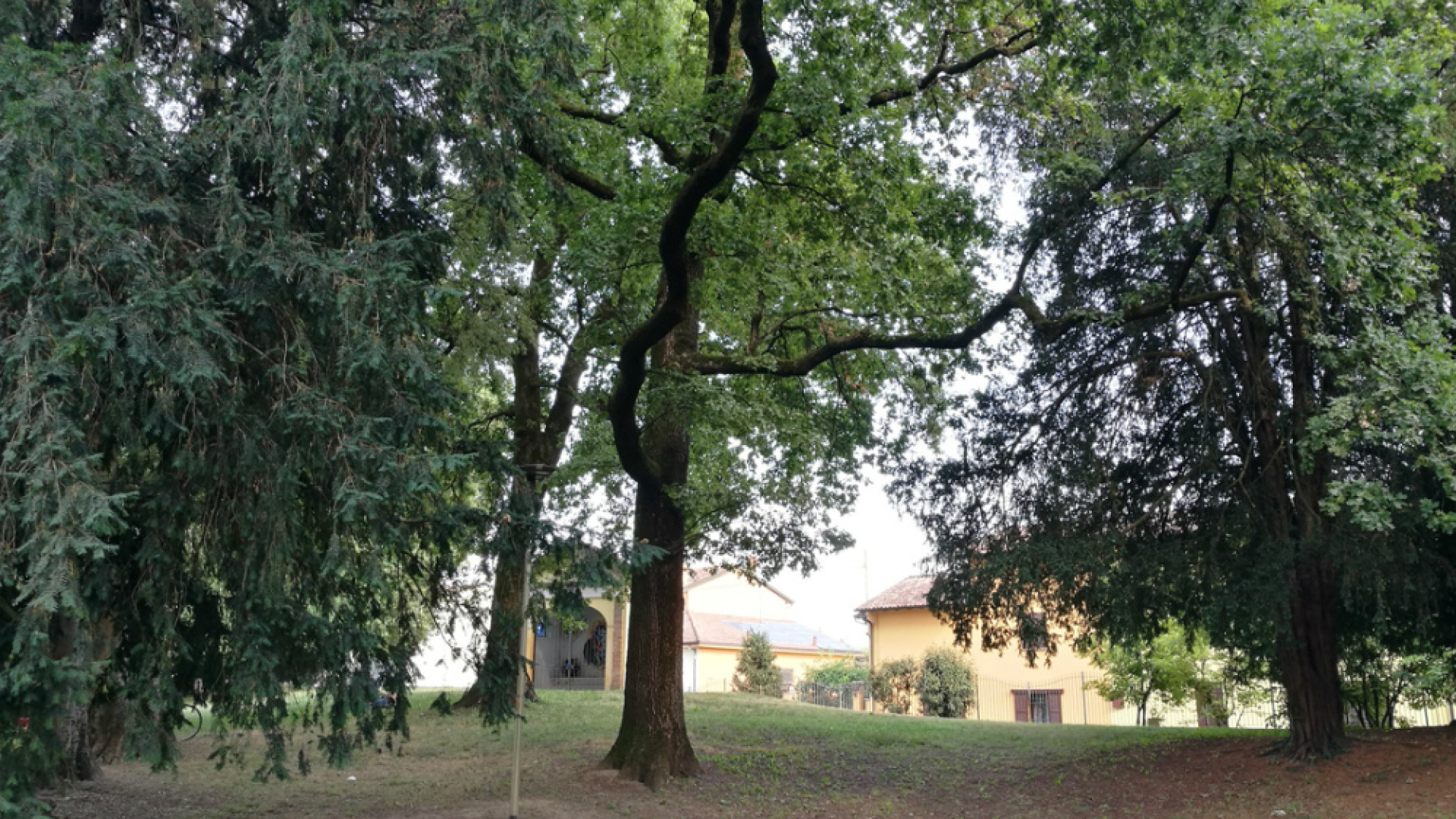 Immagine di Tra parchi e piante che fanno la storia