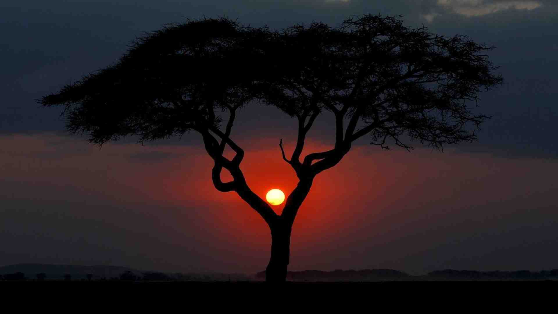 Immagine di Addio a Franco Rosso: con lui gli italiani scoprirono il turismo in Africa