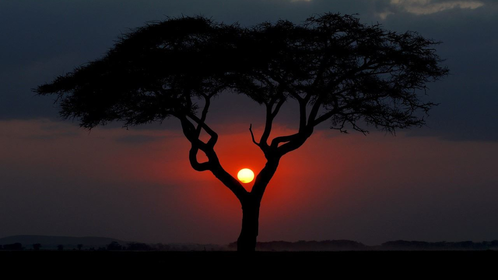 Immagine di Addio a Franco Rosso: con lui gli italiani scoprirono il turismo in Africa