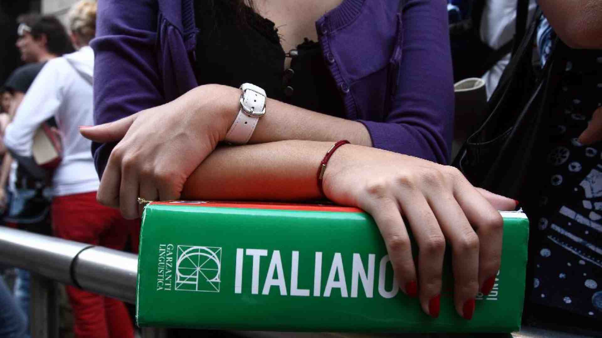 Immagine di Multe e proibizioni, il sovranismo linguistico di Fdi