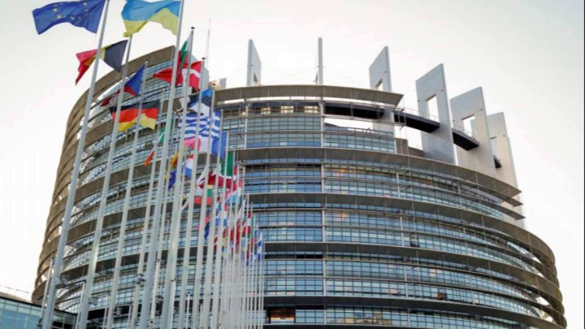 Immagine di Il blitz politico dell’Europarlamento: «condanna» all’Italia sulle coppie gay