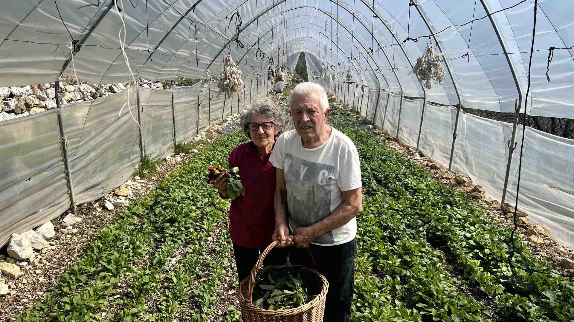 Immagine di La terra "gentile" di una coppia che regala tutti frutti e conoscenza