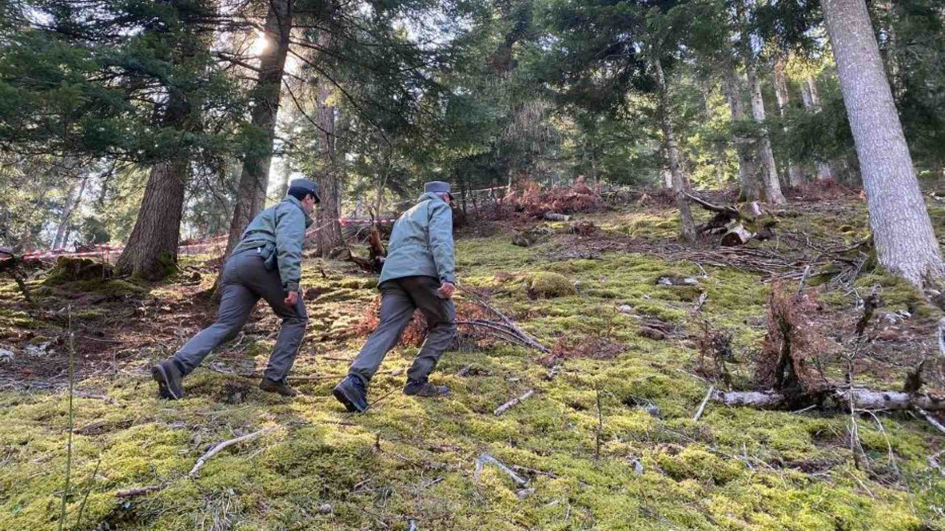 Immagine di Andrea Papi, il runner trovato morto nel bosco. «Forse ucciso da un orso»