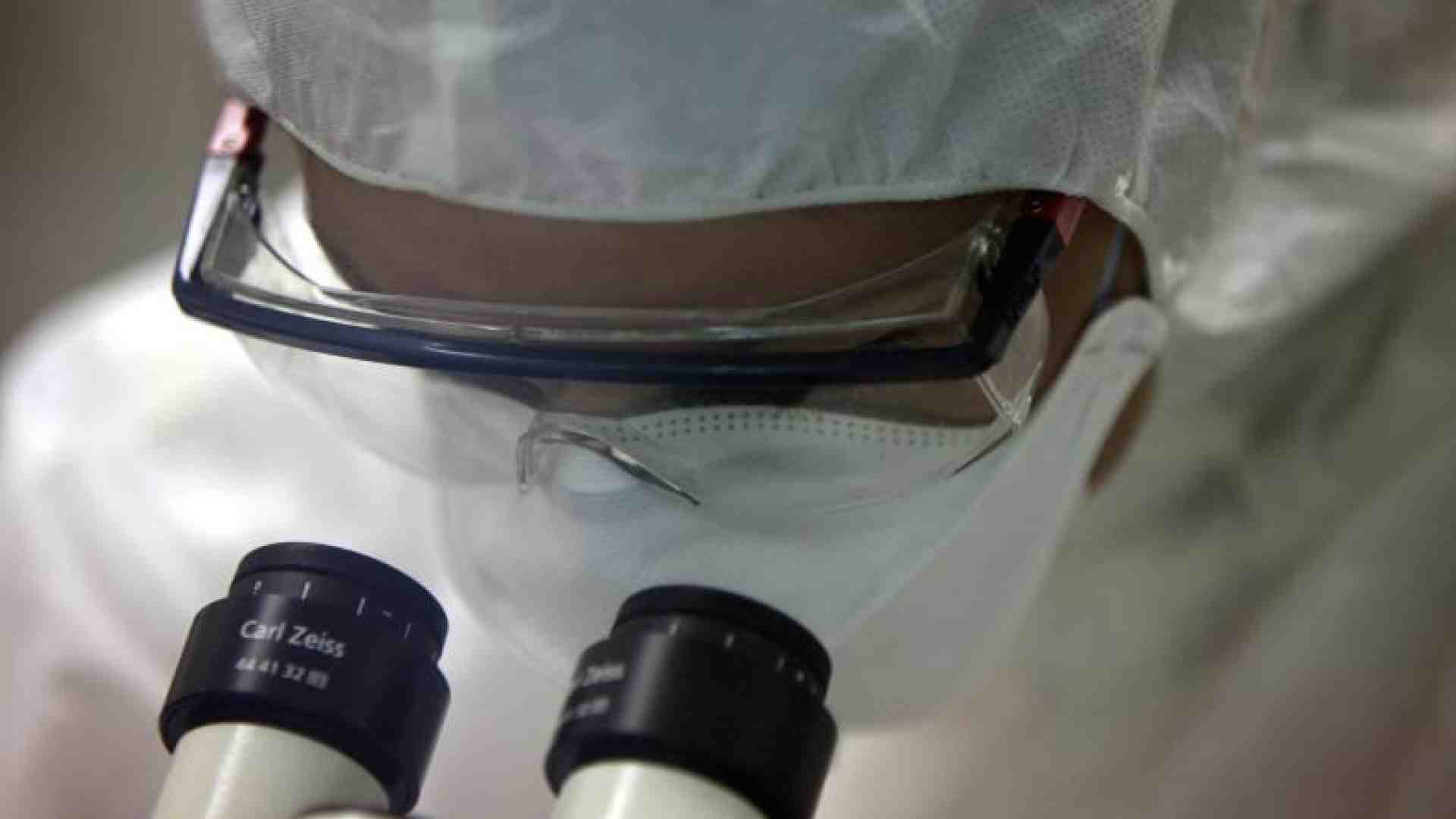 Immagine di Vaccini anticancro, «svolta entro il 2030»